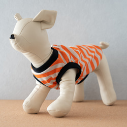 犬服  シンプル  ボーダー  オレンジベージュ  夏服 4枚目の画像