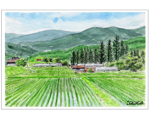 田植の季節(水彩画 2022年作品) 76759ca848c9cbd5cfe600f25d6b54