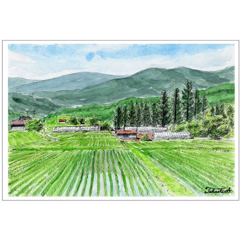 田植の季節(水彩画 2022年作品) 有る