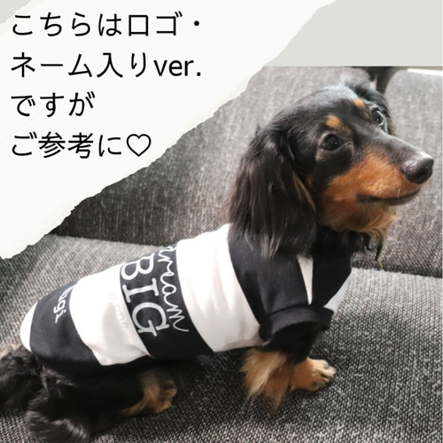 シンプル ワイドボーダー タンクトップ モノトーン 犬服 春夏 ペット服 