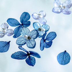 紫陽花     選べる2色 プレゼント ブルー 青 あじさい アジサイ 母の日 誕生日 プレゼント ギフト プチギフト 7枚目の画像