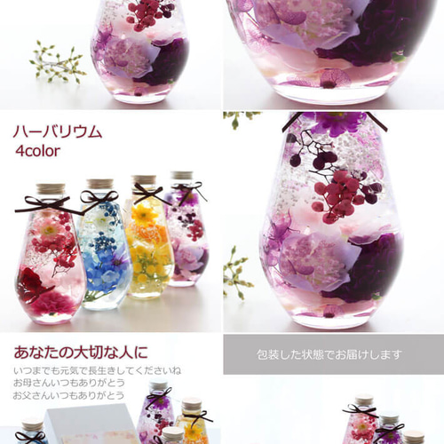 ハーバリウム ギフト オーバル 4色 プレゼント 花 プリザーブド