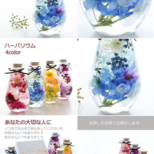 ハーバリウム ギフト オーバル 4色 プレゼント 花 プリザーブド 