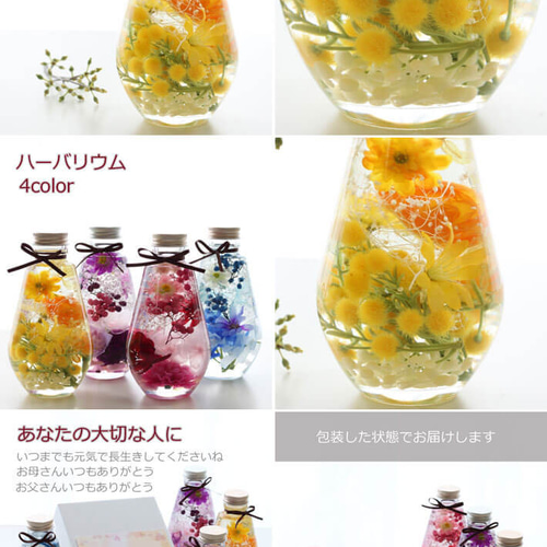 ハーバリウム ギフト オーバル 4色 プレゼント 花 プリザーブド ハーバリウム ギフト オーバル 4色 プレゼント 花 プリザーブド