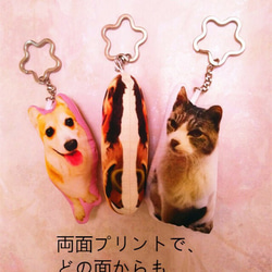 販売終了　愛犬・愛猫ペット写真ストラップ・キーホルダークッション 4枚目の画像