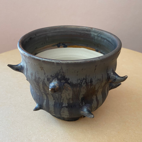 限定品 黒色 陶器製 植木鉢 花とトカゲのデザイン