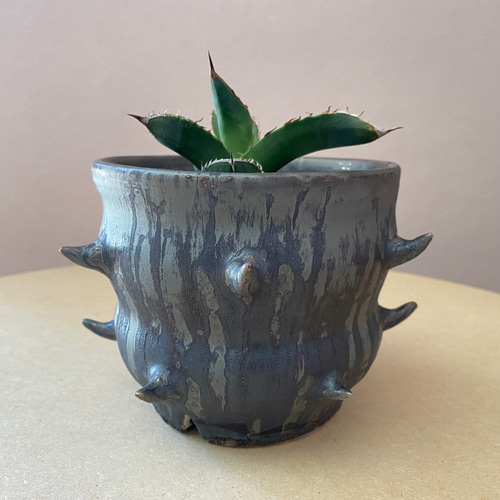 限定品 黒色 陶器製 植木鉢 花とトカゲのデザイン