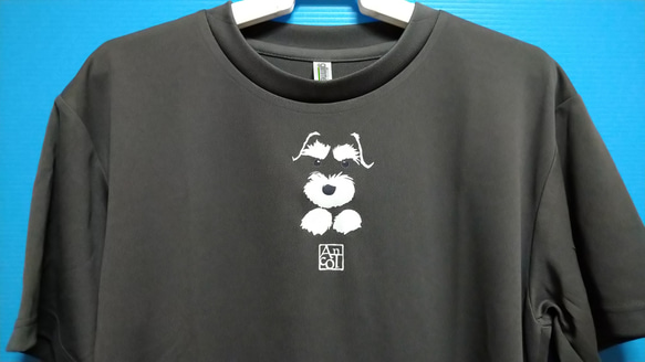 黒・グレー系Tシャツ：ハイド＆シュナ 1枚目の画像