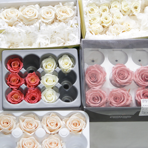 プリザーブドフラワー花材セット　まとめ売り FLABEL プリザーブドフラワー フラワーボックス Antietto 紫