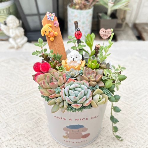 可愛い♡ トイプードルちゃん 多肉植物寄せ植え プレゼント ギフト