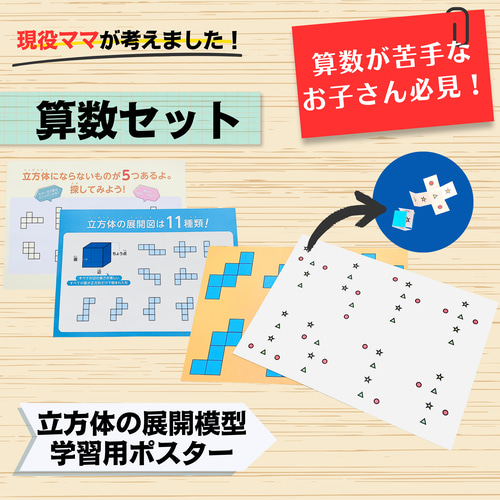 立方体11種類 立体展開図模型 中学受験 知育玩具 小学生 中学生 算数