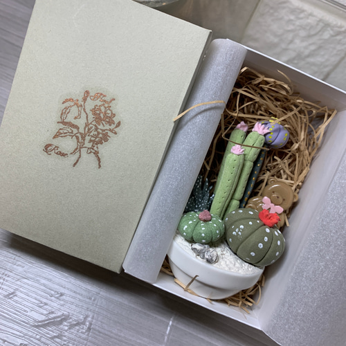 アロマストーン 外箱あり サボテン(粘土インテリア) その他置物 Luna