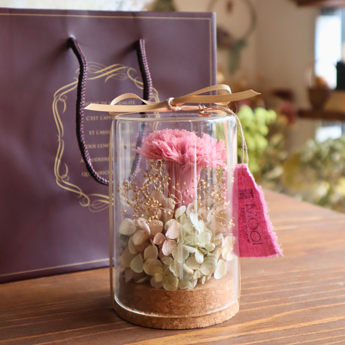 ゆらりん②✨プリンス・エドワード島✨1900年頃✨プリミティヴ・ボトル くすみピンクカーネーションのボトルフラワー(プリザーブドフラワー)お