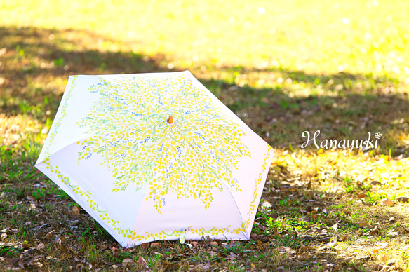 [折疊傘] Mimosa [UV 防護 99.9% 以上] [晴天雨天均可使用] [輕便] [盛開的雨傘] [Hanayuki 第6張的照片