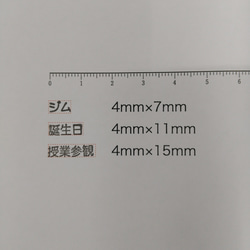 スケジュールスタンプ【ゴム印】 2枚目の画像