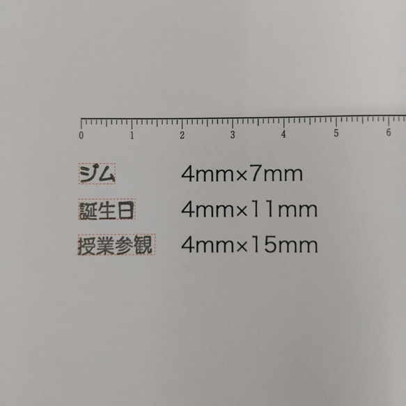 スケジュールスタンプ【ゴム印】 2枚目の画像