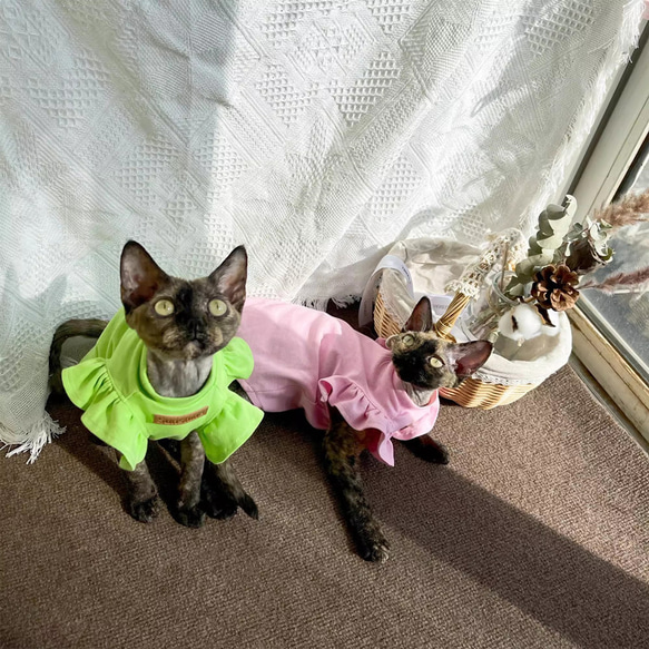 〈オーダーメイド可能〉猫服 犬服 ペット服 ネコ フリル袖プリンセス服 2色 スフィンクス猫 姫スカート ワンピース 2枚目の画像