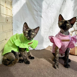 〈オーダーメイド可能〉猫服 犬服 ペット服 ネコ フリル袖プリンセス服 2色 スフィンクス猫 姫スカート ワンピース 1枚目の画像