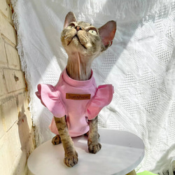 〈オーダーメイド可能〉猫服 犬服 ペット服 ネコ フリル袖プリンセス服 2色 スフィンクス猫 姫スカート ワンピース 4枚目の画像