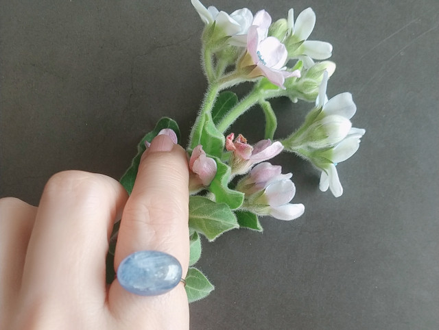 青の空間　スターカイヤナイト＊リング　１４kgf　指輪　 天然石