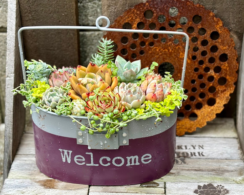 10a9d5f0e8f564d44b5c49d8f428e9