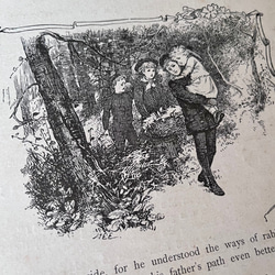 英国で出会った♪ アンティーク プリント 1891年 アーネスト・二スター 絵本の一頁 森の中のこどもたち 7枚目の画像