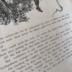 英国で出会った♪ アンティーク プリント 1891年 アーネスト・二スター 絵本の一頁 森の中のこどもたち 8枚目の画像