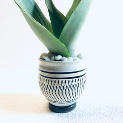 ハイドロカルチャー　サンスベリア　シルバークィーン　小鹿田焼　陶器　観葉植物 10枚目の画像