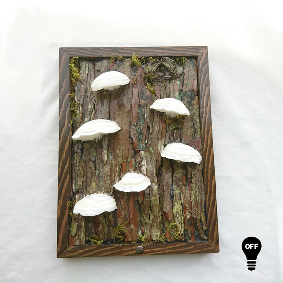 カワラタケの壁掛けランプ 