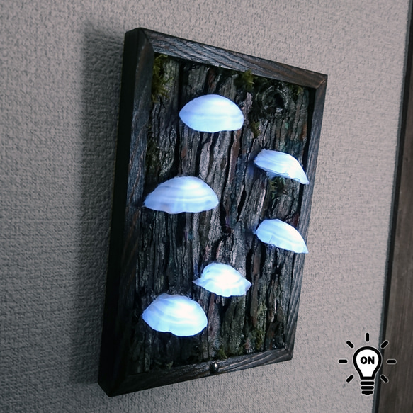 カワラタケの壁掛けランプ 