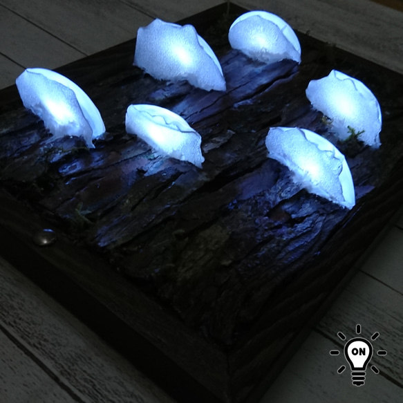 カワラタケの壁掛けランプ 