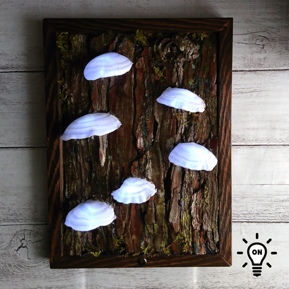 カワラタケの壁掛けランプ 