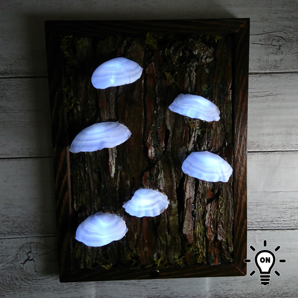 カワラタケの壁掛けランプ 