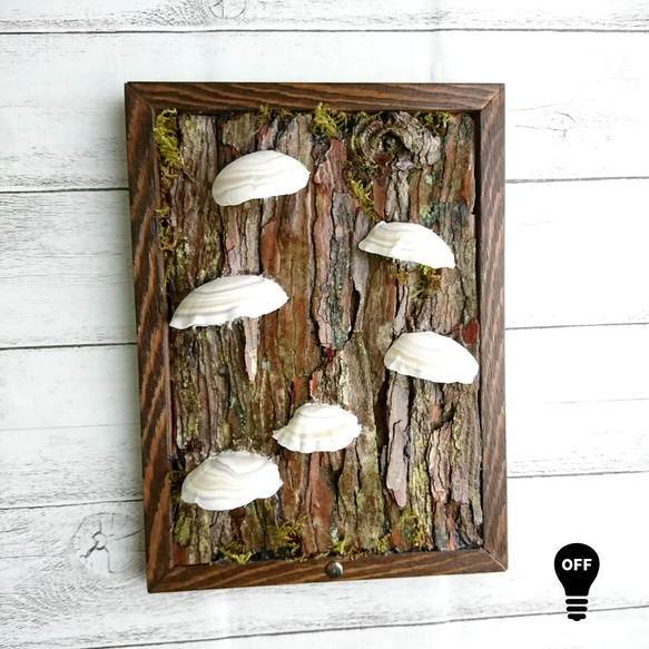 カワラタケの壁掛けランプ 