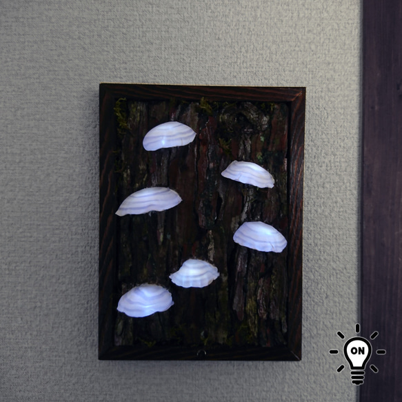 カワラタケの壁掛けランプ 