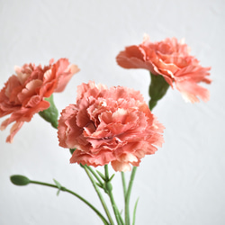咲き続けるカーネーション(アンティークオレンジ)のマジカルウォーター　　癒しのフラワーインテリア 3枚目の画像