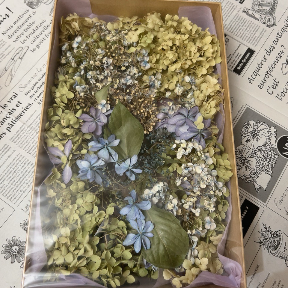 紫陽花（ミックス）☆ドライフラワー◇専用ケース付き - メルカリ