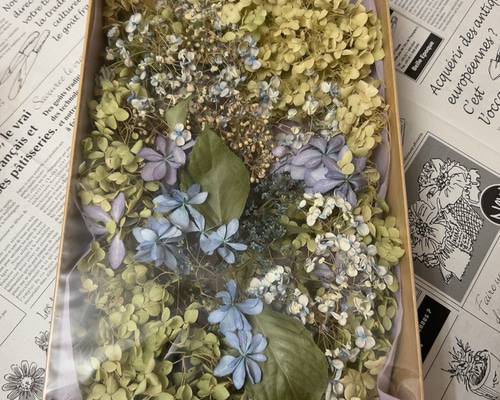 紫陽花 ドライフラワー 多種混合 - メルカリ