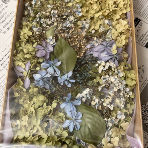 秋色紫陽花ドライフラワー③