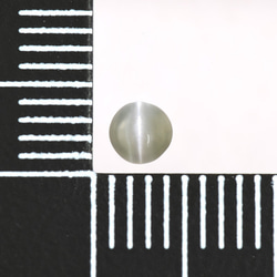 アレキサンドライト キャッツアイ ルース 約0.23ct SAK080BS 5枚目の画像