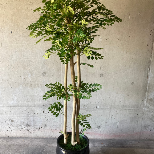 光触媒 人工観葉植物 ウォールグリーン フェイクグリーン トネリコ