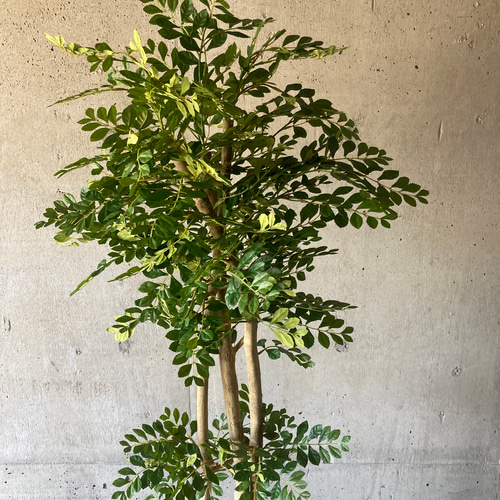 光触媒　人工観葉植物　ウォールグリーン　フェイクグリーン　トネリコ16666 光触媒 人工観葉植物 ウォールグリーン フェイクグリーン トネリコ