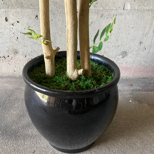 光触媒 人工観葉植物 ウォールグリーン フェイクグリーン トネリコ