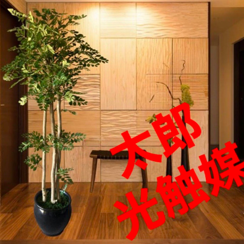 光触媒　人工観葉植物　ウォールグリーン　フェイクグリーン　トネリコ16666 光触媒人工観葉植物ウォールグリーンフェイクグリーントネリコ16666