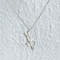 12星座・牡牛座のネックレス【Constellations necklace -Taurus-】 1枚目の画像