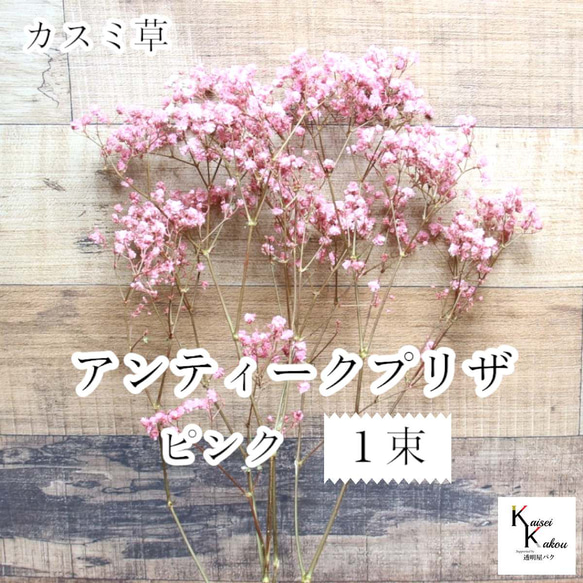 大地農園！プリザーブドフラワー 「アンティークプリザ・カスミ草 1束 