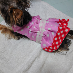 ☆着せやすい犬服☆ギンガムチェックのエプロンワンピース☆オーダー