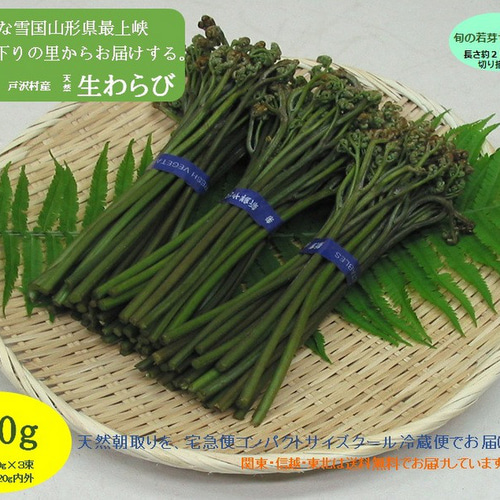 天然わらび 北海道産 2.2kg （山形は今が旬の最上峡舟下りの里