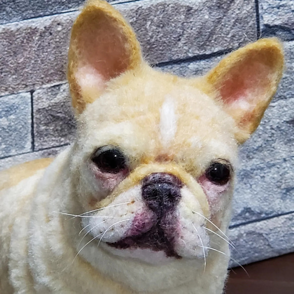 羊毛フェルトオーダーメイド、受注制作、羊毛フェルト犬、ペットロス、うちの子、リアル羊毛フェルト 