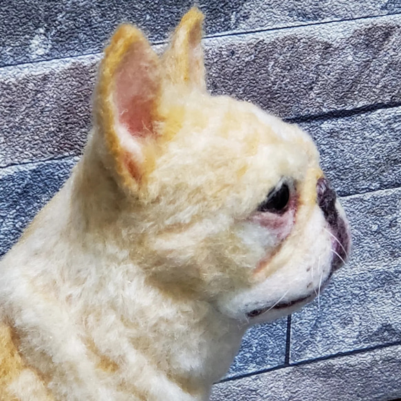 羊毛フェルトオーダーメイド、受注制作、羊毛フェルト犬、ペットロス、うちの子、リアル羊毛フェルト 